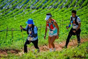 BIB: 
                            <button type="button" onclick="openModal(19163784)" class="btn btn-primary btn-sm float-right btn-popup" data-toggle="modal" data-target=".modal-high-quality">
                        <i class="fas fa-shopping-cart"></i> Add to Cart
                    </button>
                                            <button type="button" onclick="isThisMe(19163784, true)" class="btn btn-success btn-sm float-right btn-popup btn-isme hidden" data-toggle="tooltip" data-placement="bottom" title="นี่คือรูปของคุณใช่ไหม คลิกที่นี่เพื่อเอาเข้าอัลบั้ม">
                        <i class="fas fa-plus"></i> Add to album
                    </button>
                    <button type="button" onclick="isThisMe(19163784, false)" class="btn btn-warning btn-sm float-right btn-popup btn-isnotme hidden">
                        <i class="fas fa-ban"></i> Remove from album
                    </button>